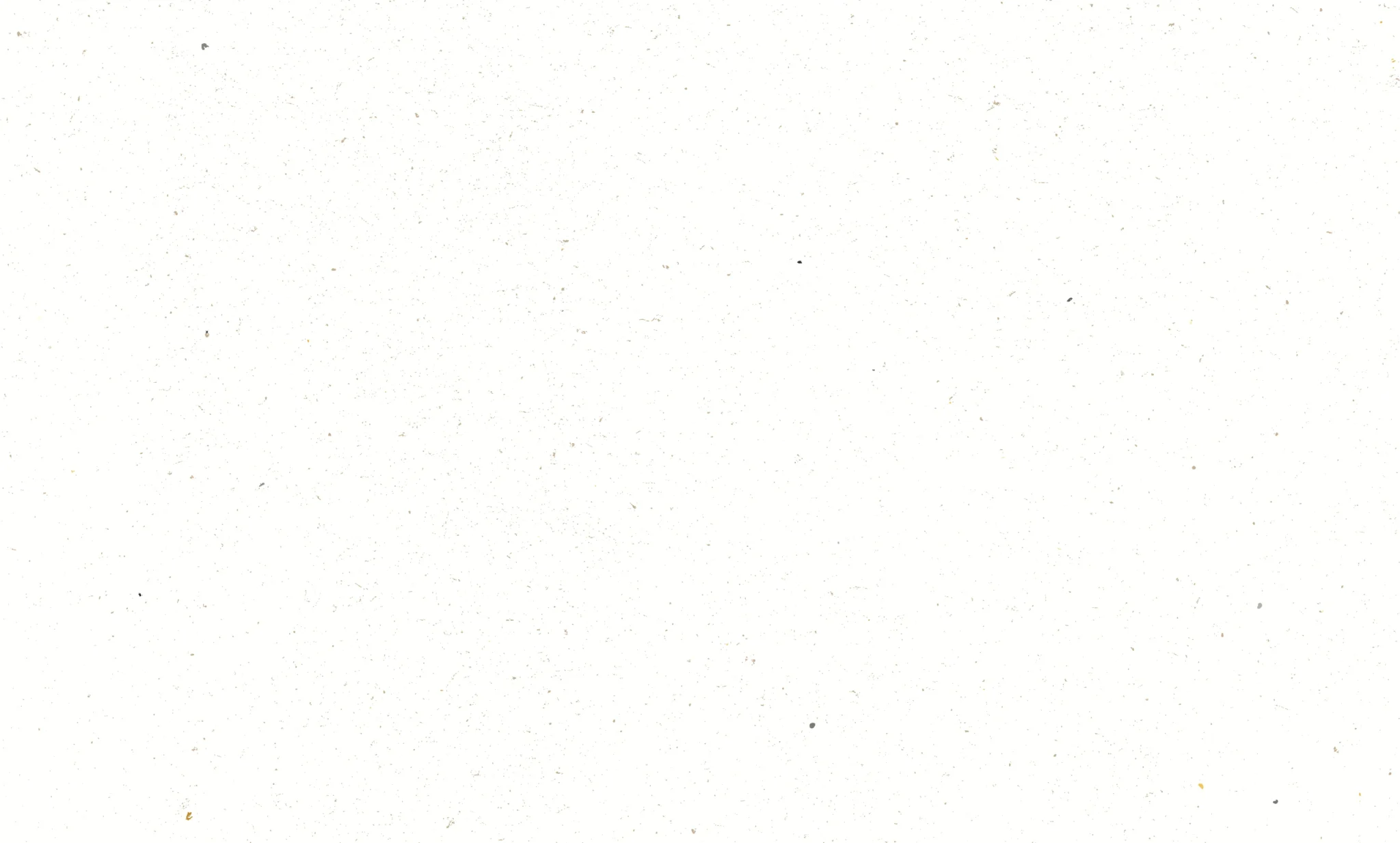 Light off-white textured background with small scattered speckles and subtle paper grain.